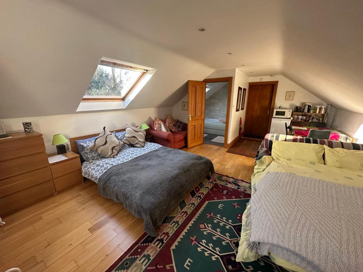 Rural Long Term Accommodation Hillsborough Exteriér fotografie