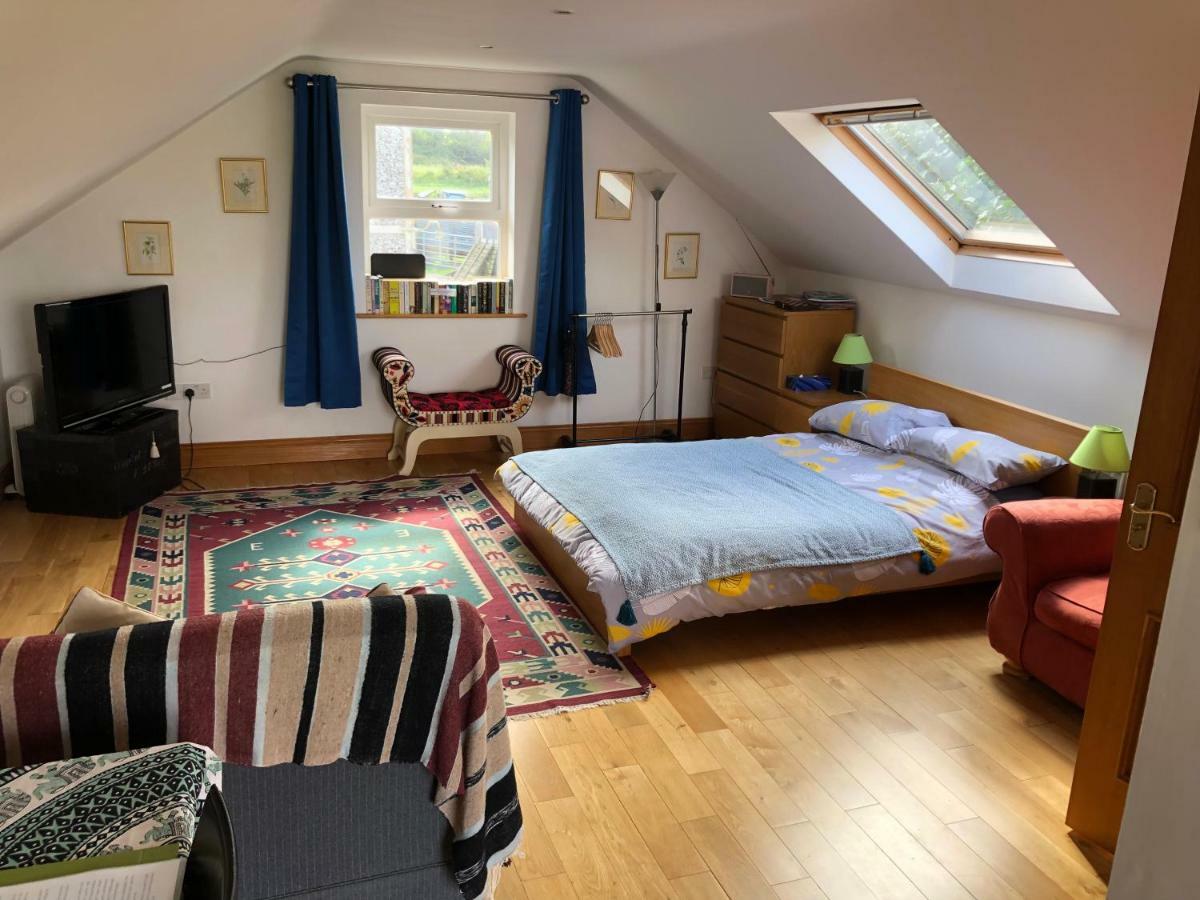 Rural Long Term Accommodation Hillsborough Exteriér fotografie